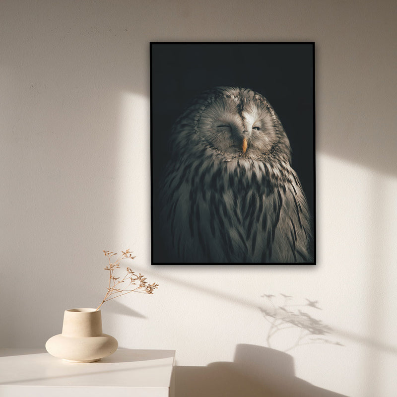 SLEEPING OWL CANVAS WALL PAINTING