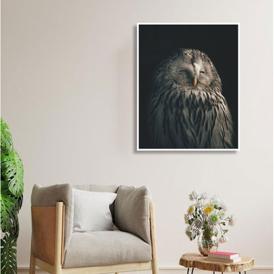 SLEEPING OWL CANVAS WALL PAINTING