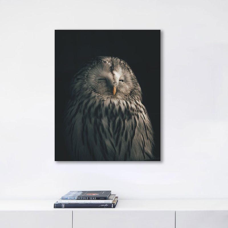 SLEEPING OWL CANVAS WALL PAINTING