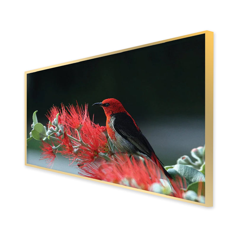 Little Bird Canvas Floating Frame Wall Painting