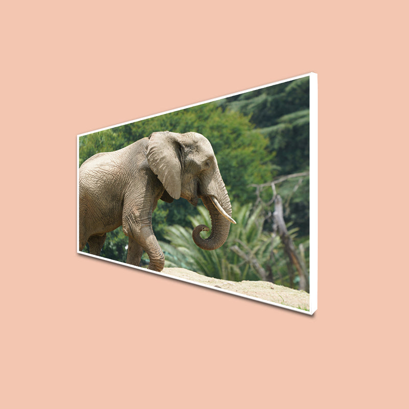 Elephant Canvas Floating Frame Wall Painting