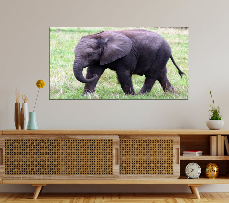 Baby Elephant Canvas Wall Painting