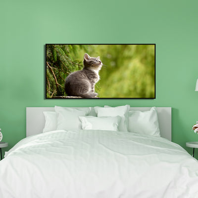 Lovely Cat Canvas Floating Frame Wall Painting