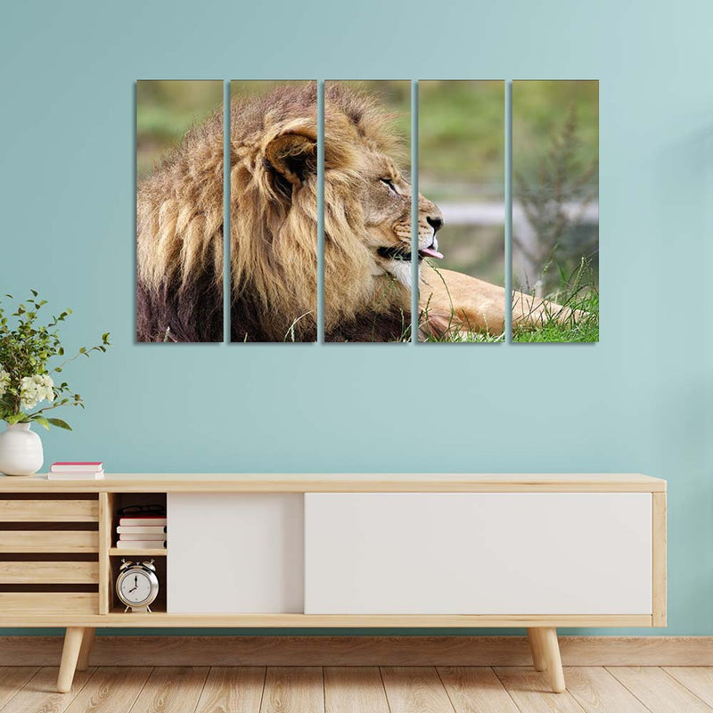 Barbary Lion Canvas  Wall Painting - With 5 Panel