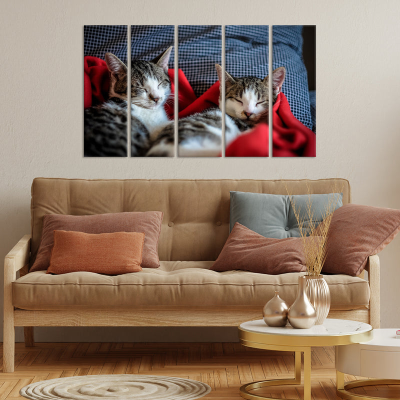 Cute Kittens Sleeping Together Canvas Wall Painting - With 5 Panel