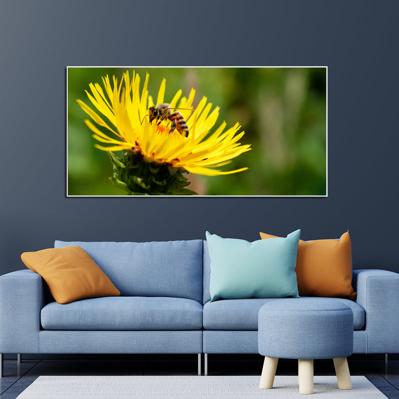 Bee On Sun Flower Canvas Floating Frame Wall Painting