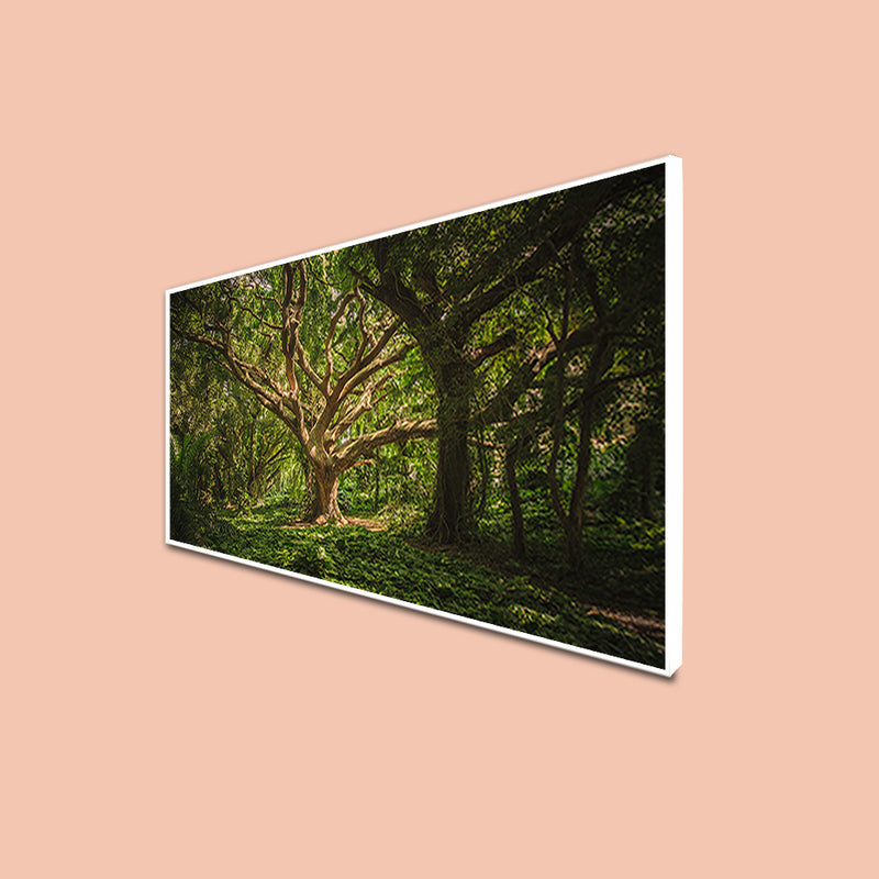 Dark Forest Canvas Floating Frame Wall Painting