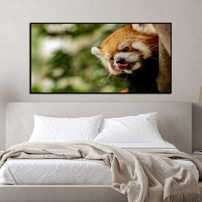 Red Panda  Canvas Floating Frame Wall Painting