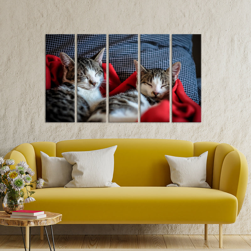 Cute Kittens Sleeping Together Canvas Wall Painting - With 5 Panel
