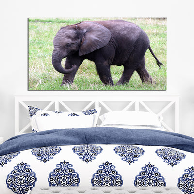 Baby Elephant Canvas Wall Painting