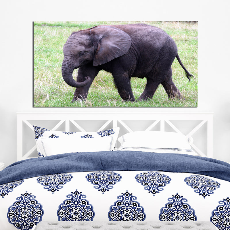 Baby Elephant Canvas Wall Painting