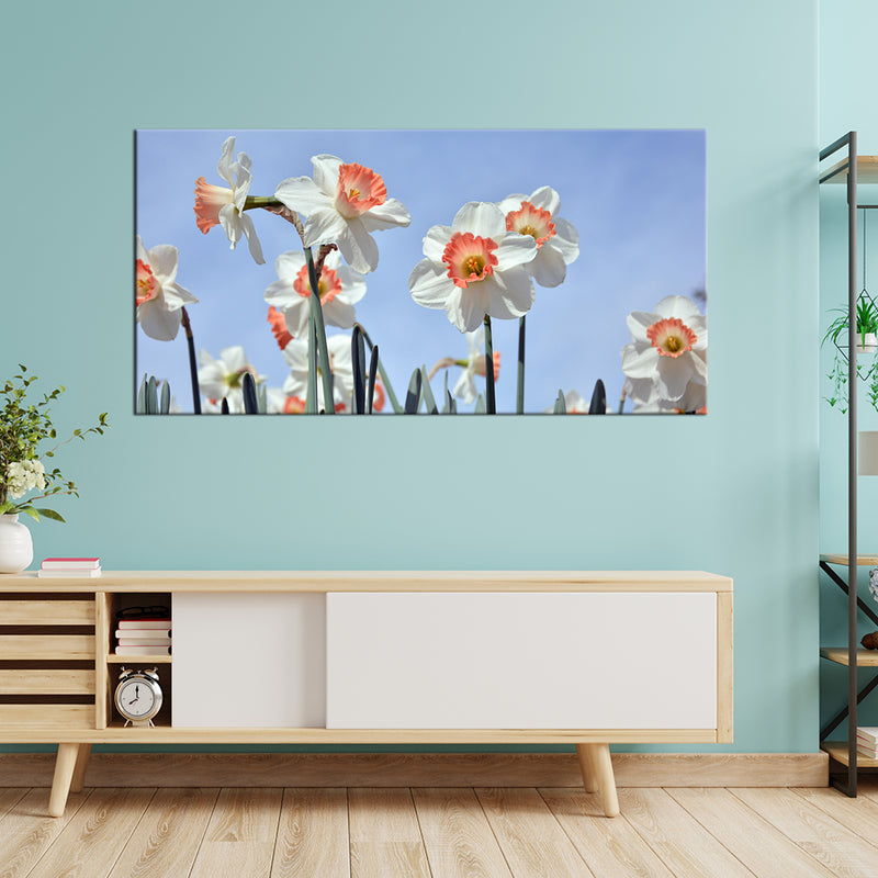 Daffodils Flower Canvas Wall Painting