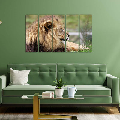 Barbary Lion Canvas  Wall Painting - With 5 Panel