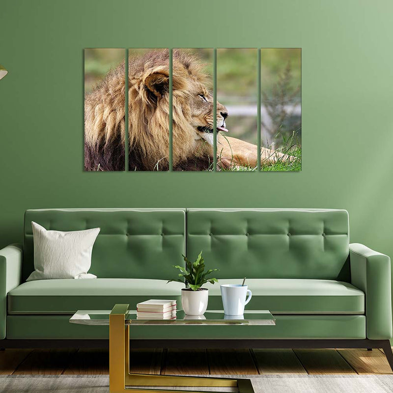 Barbary Lion Canvas  Wall Painting - With 5 Panel