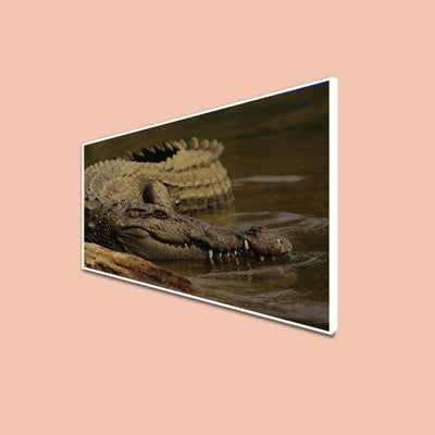 Crocodile In Water Canvas Floating Frame Wall Painting