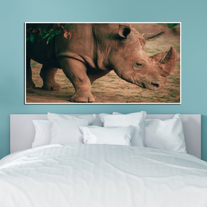 Indian Raino Floating Frame Wall Painting