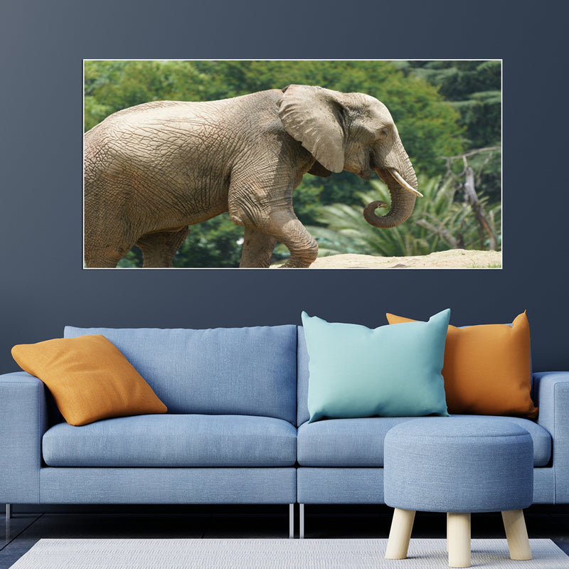 Elephant Canvas Floating Frame Wall Painting