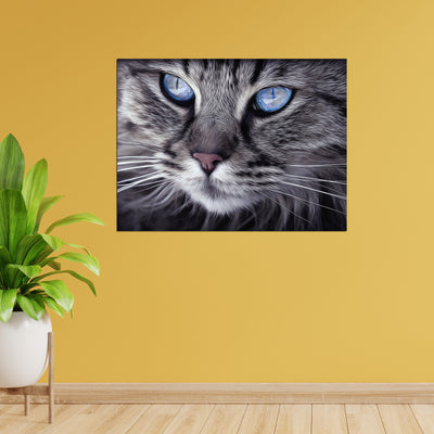 Cat With Blue Eyes Wall Painting On Canvas