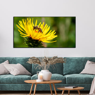 Bee On Sun Flower Canvas Floating Frame Wall Painting
