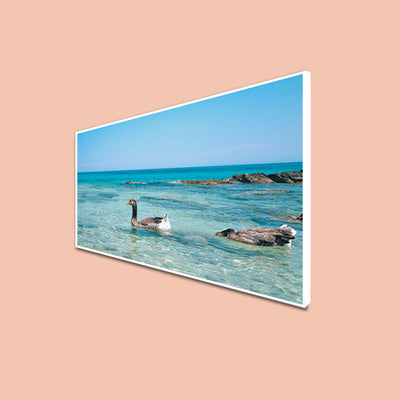 Duck In Water Canvas Floating Frame Wall Painting