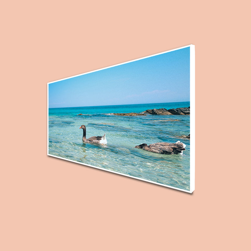 Duck In Water Canvas Floating Frame Wall Painting