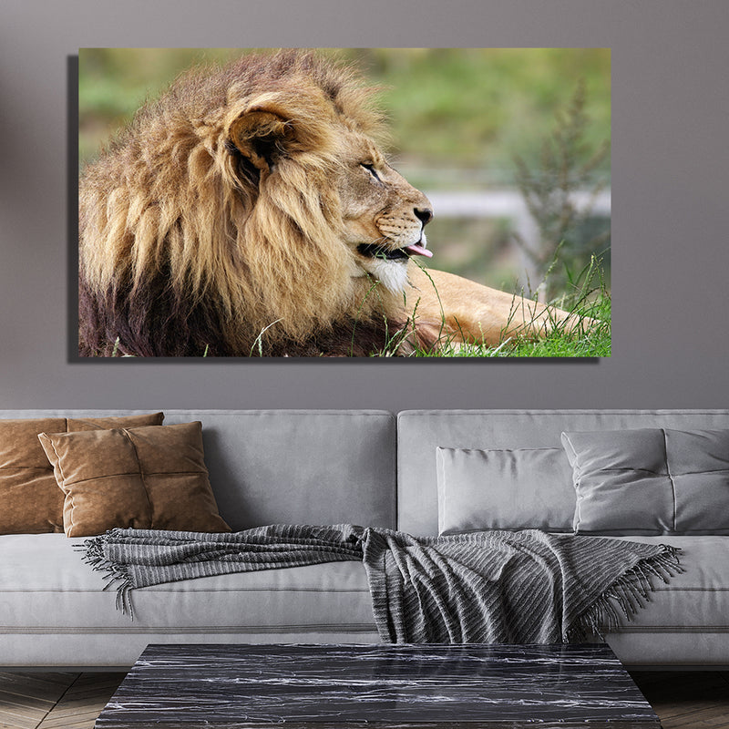 Barbary Lion Canvas Wall Painting