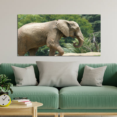 Elephant Canvas Wall Painting