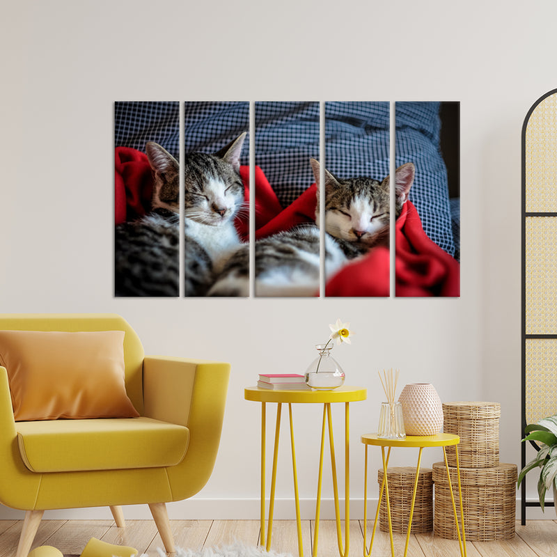 Cute Kittens Sleeping Together Canvas Wall Painting - With 5 Panel