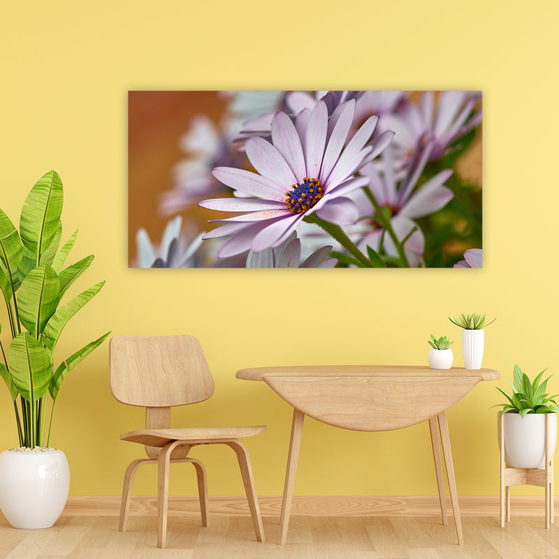 Daisy Flower Canvas Wall Painting
