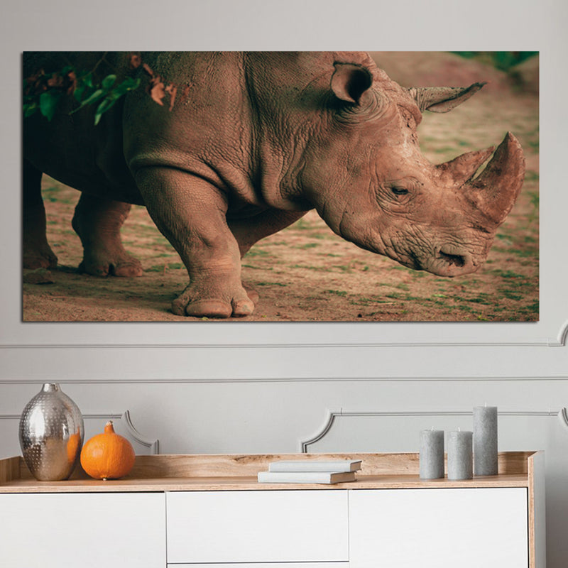 Indian Raino Canvas Wall Painting