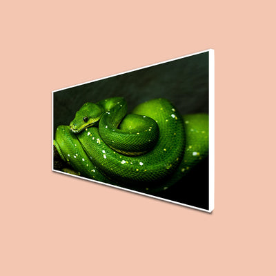 Green Cobra Snake Floating Frame Canvas Wall Painting