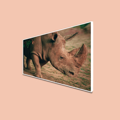 Indian Raino Floating Frame Wall Painting