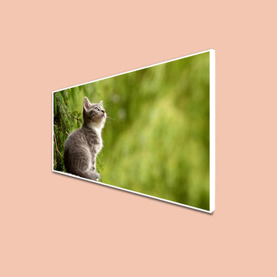 Lovely Cat Canvas Floating Frame Wall Painting