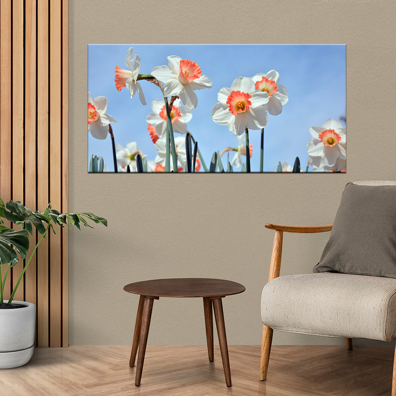 Daffodils Flower Canvas Wall Painting