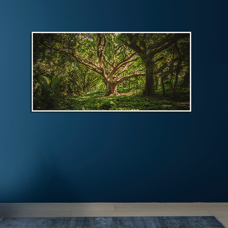 Dark Forest Canvas Floating Frame Wall Painting