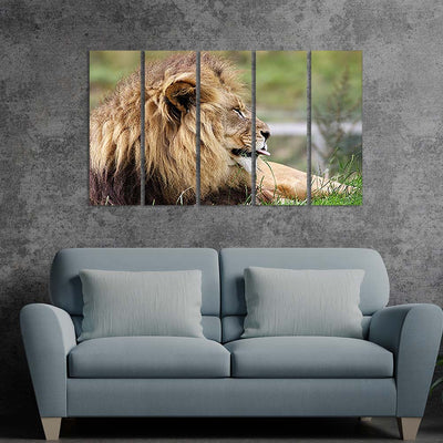 Barbary Lion Canvas  Wall Painting - With 5 Panel