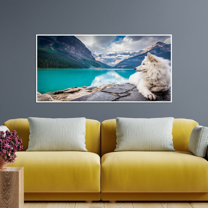 A White Dog Sitting On A Rock Canvas Floating Frame Wall Painting