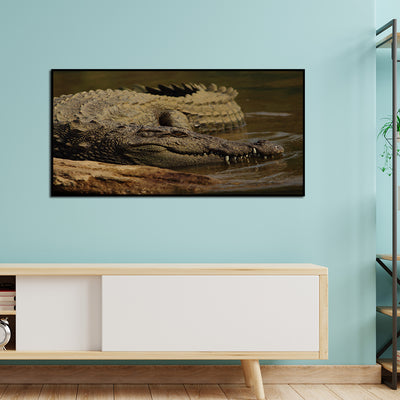 Crocodile In Water Canvas Floating Frame Wall Painting