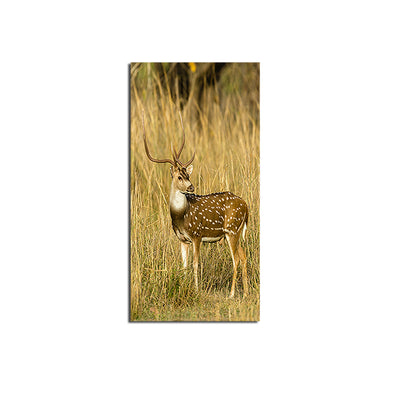 Deer In Field Canvas Wall Painting