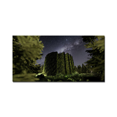 Dark Night Forest View Canvas Wall Painting
