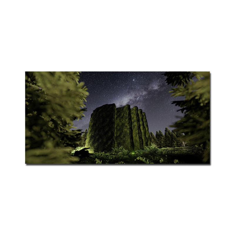 Dark Night Forest View Canvas Wall Painting