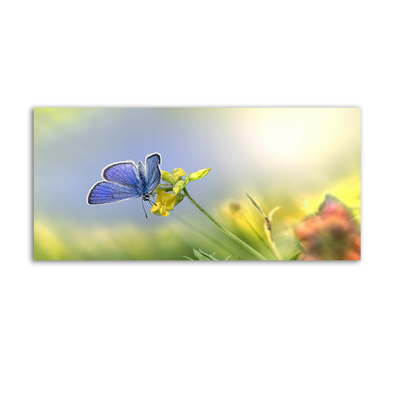 Blue Butterfly Sitting On Flower Canvas Wall Painting