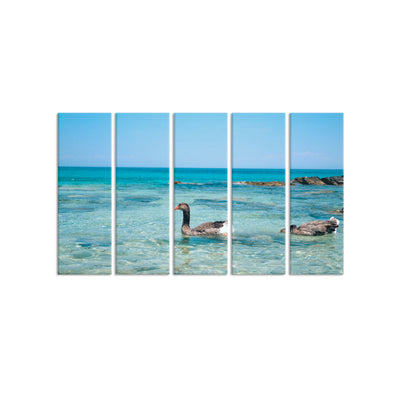 Duck In Water Canvas Wall Painting - With 5 Panel