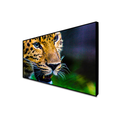 Jaguar Canvas Floating Frame Wall Painting