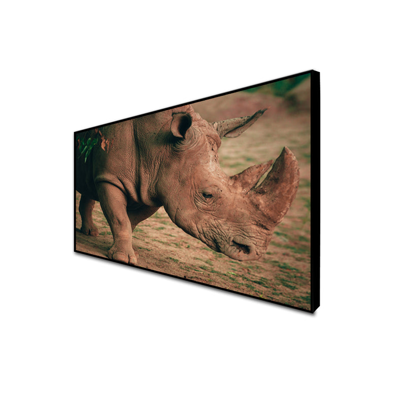 Indian Raino Floating Frame Wall Painting