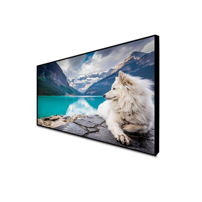 A White Dog Sitting On A Rock Canvas Floating Frame Wall Painting