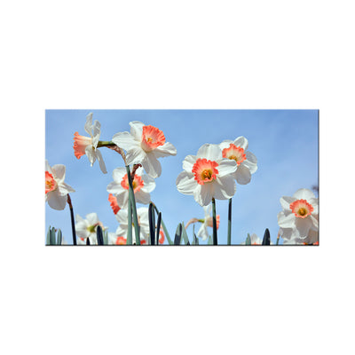 Daffodils Flower Canvas Wall Painting