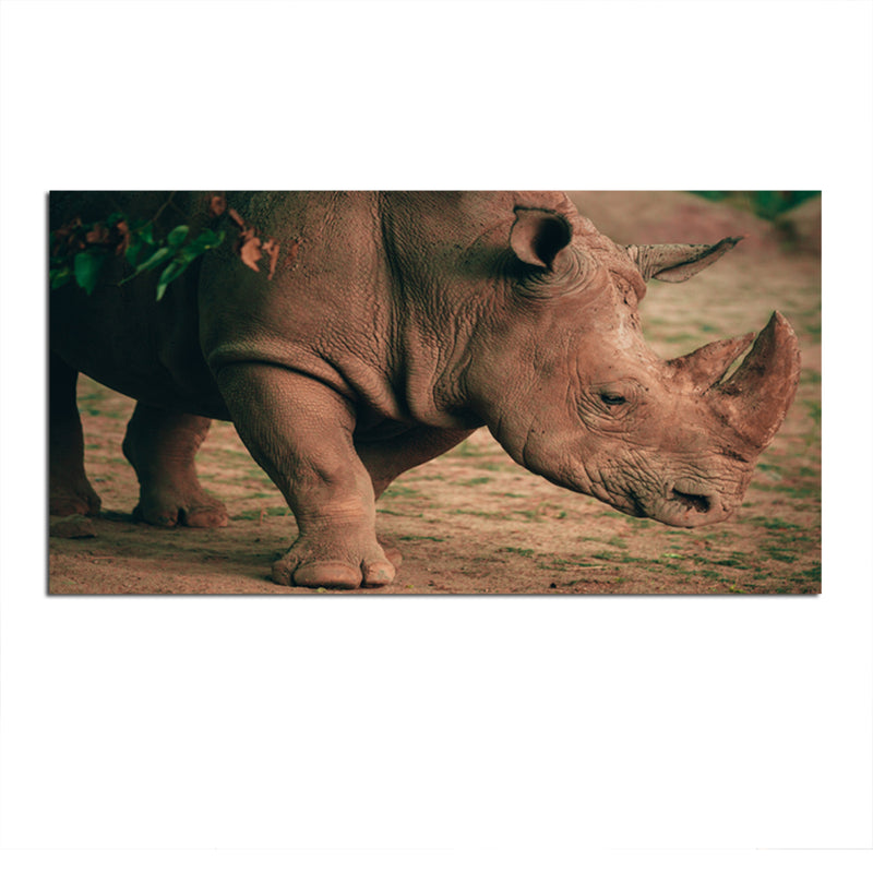 Indian Raino Canvas Wall Painting