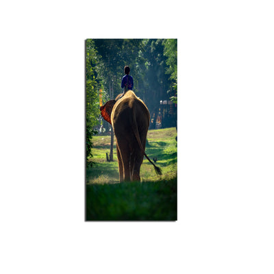 Child Riding Elephant Canvas Wall Painting