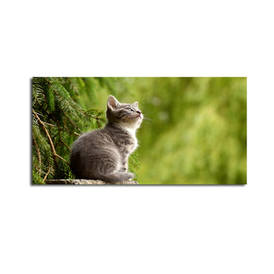 Lovely Cat Canvas Wall Painting